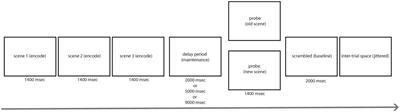 Spontaneous Eye Blink Rate During the Working Memory Delay Period Predicts Task Accuracy